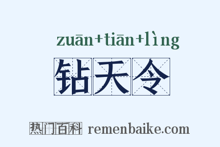 钻天令是什么意思的图片